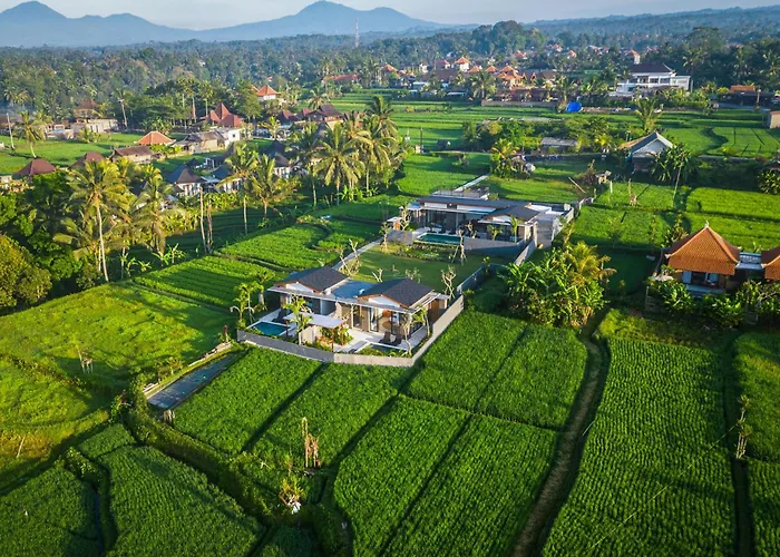 Kapi Sebatu Tampaksiring