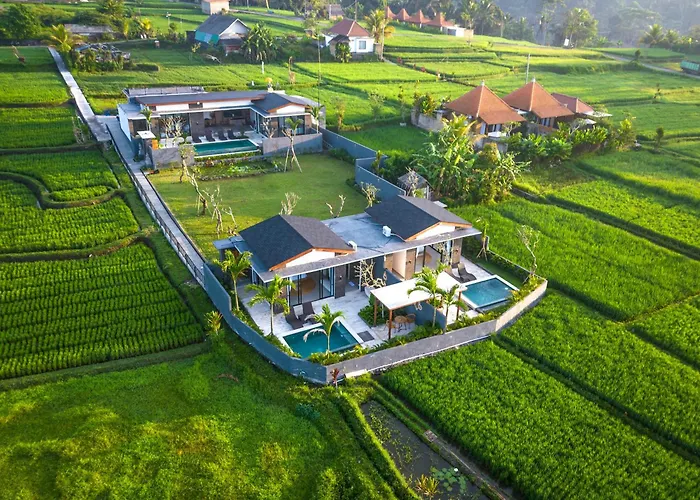Kapi Sebatu * Tampaksiring